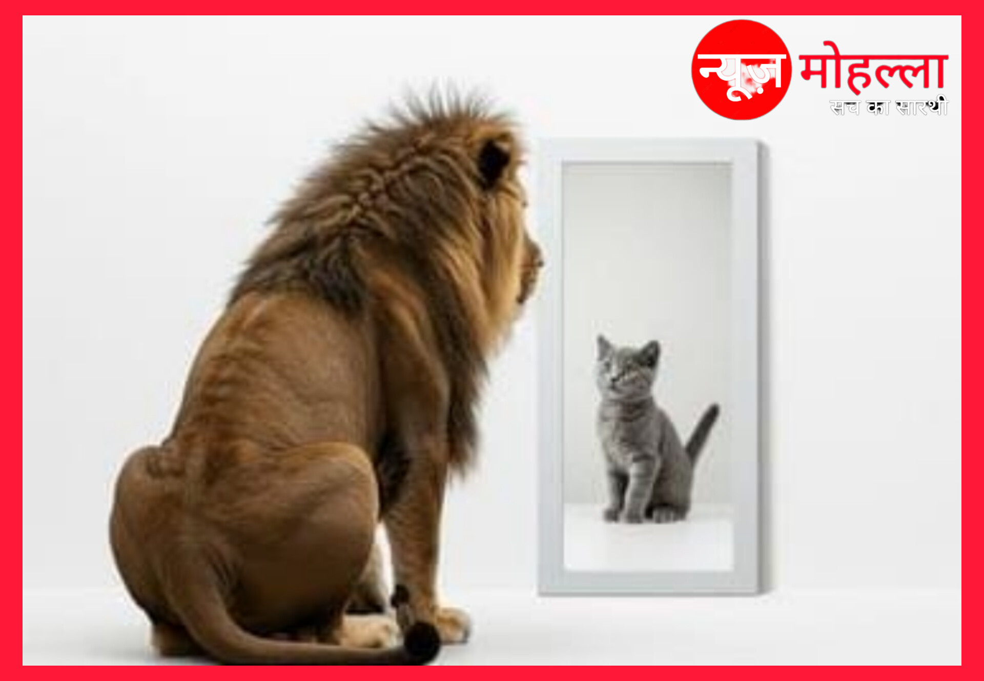 Mental Health; "Self Confidence'