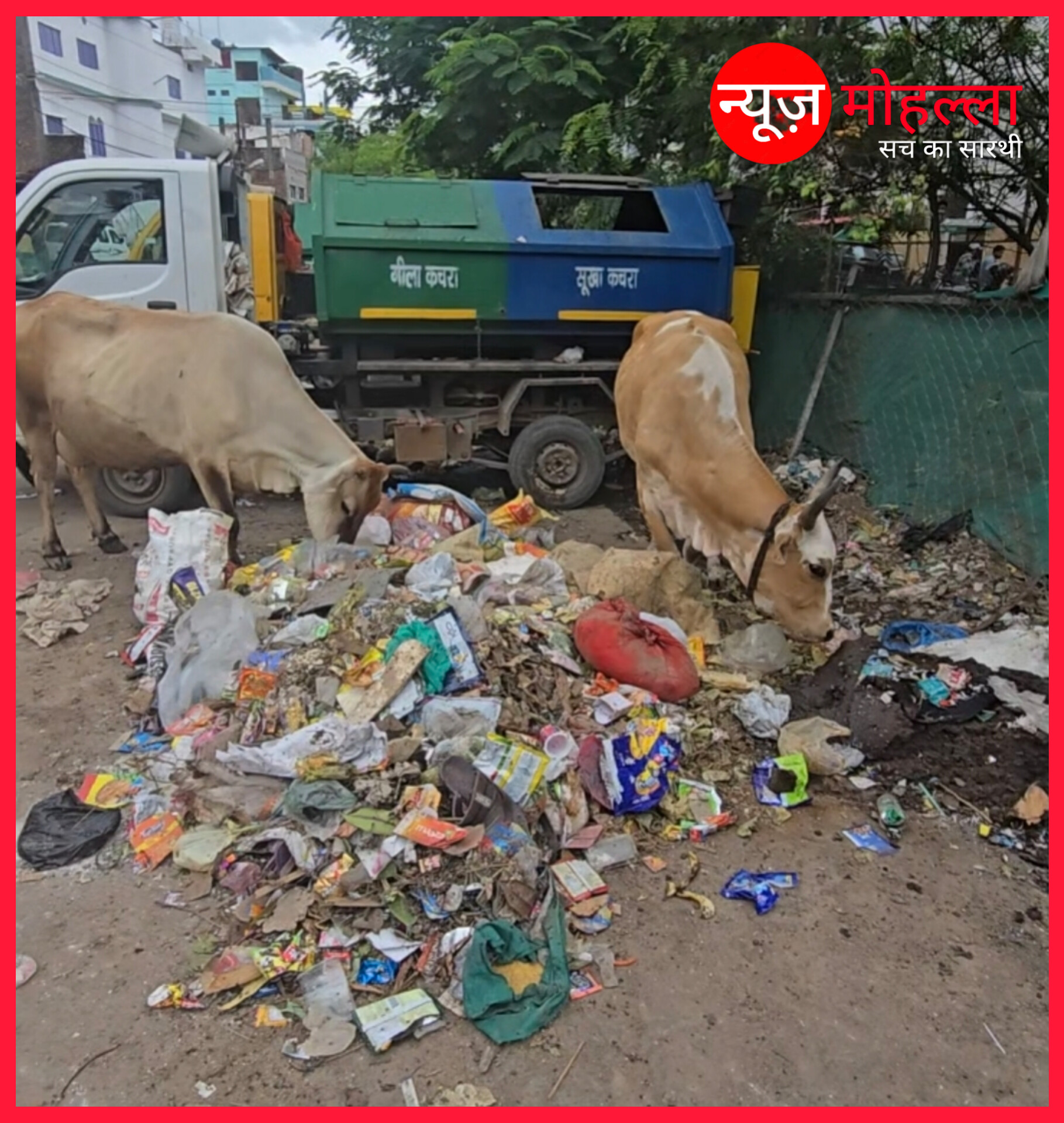 सफाई अपनाओ बीमारी भगाओ अभियान