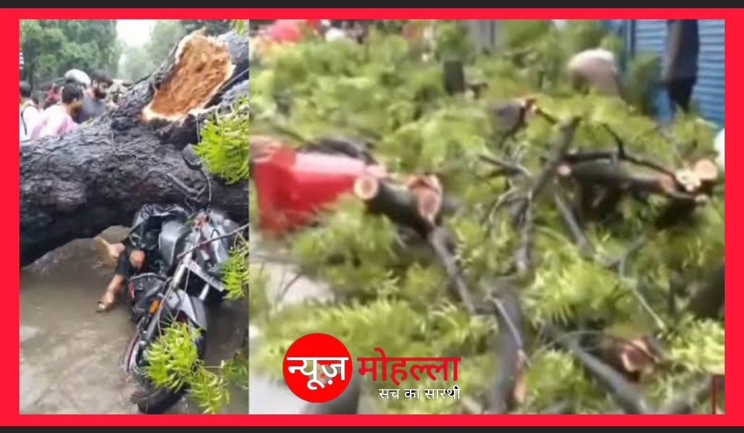 कालकाजी में बारिश का कहर: नीम के पेड़ की चपेट में आए पिता-पुत्री, पिता की मौत – बेटी गंभीर