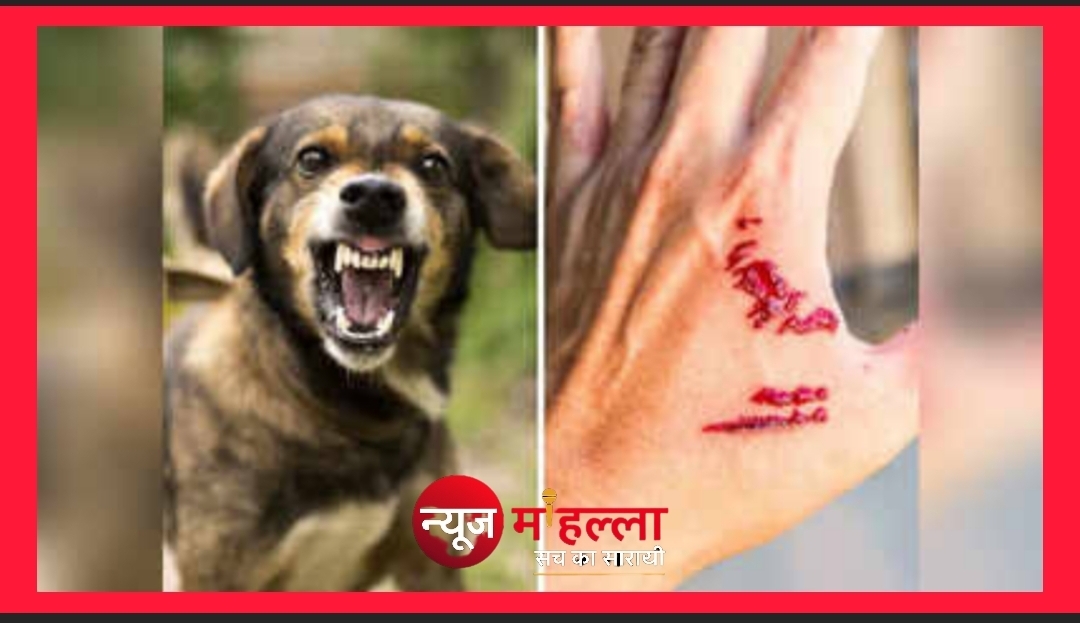 इंदौर में कुत्ते के काटने से मजदूर की मौत, समय पर इंजेक्शन न लगवाना पड़ा भारी